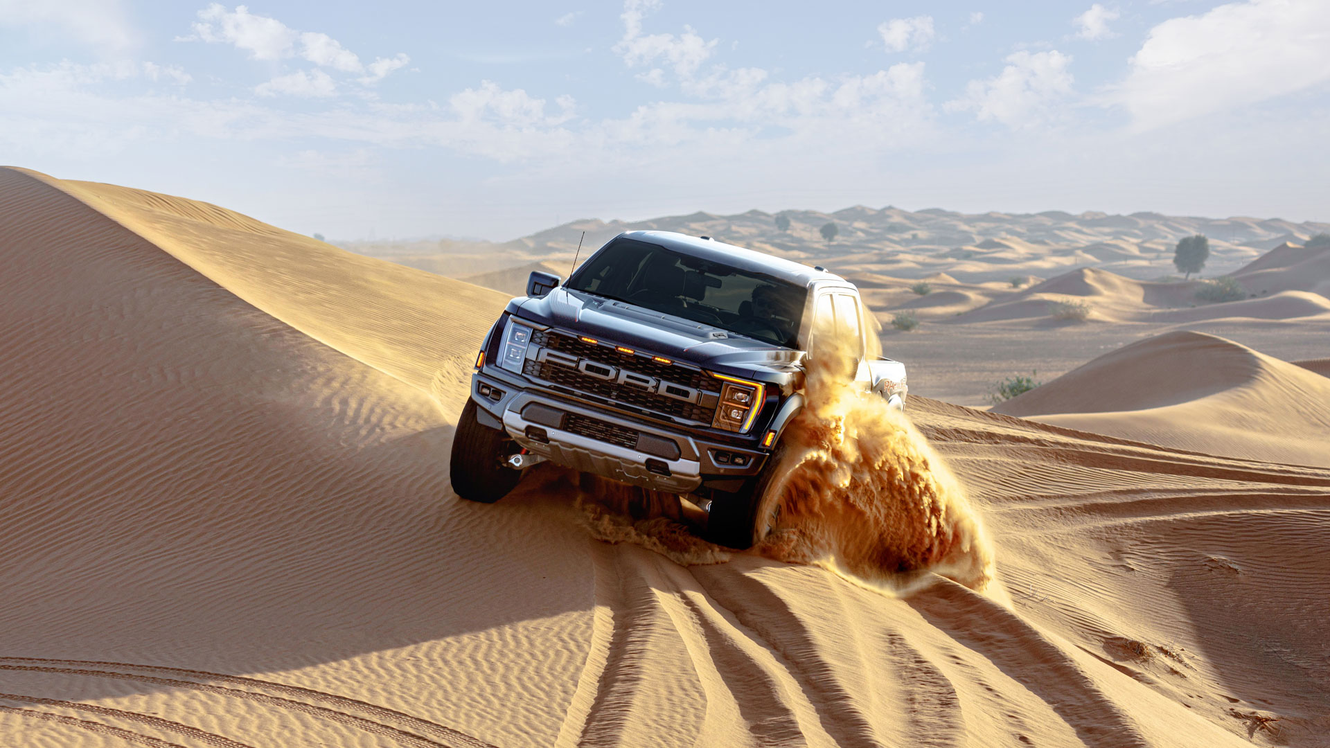 Der Ford F-150®