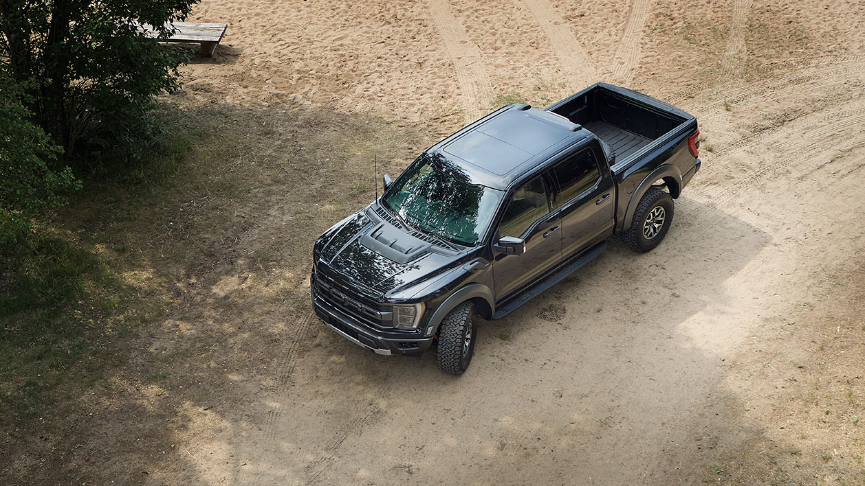Der Ford F-150®