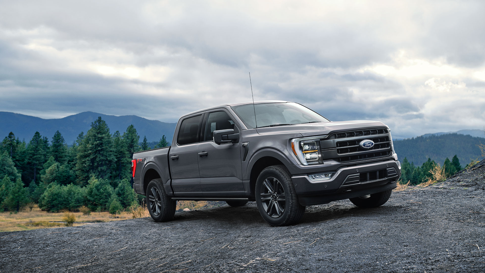 Der Ford F-150®