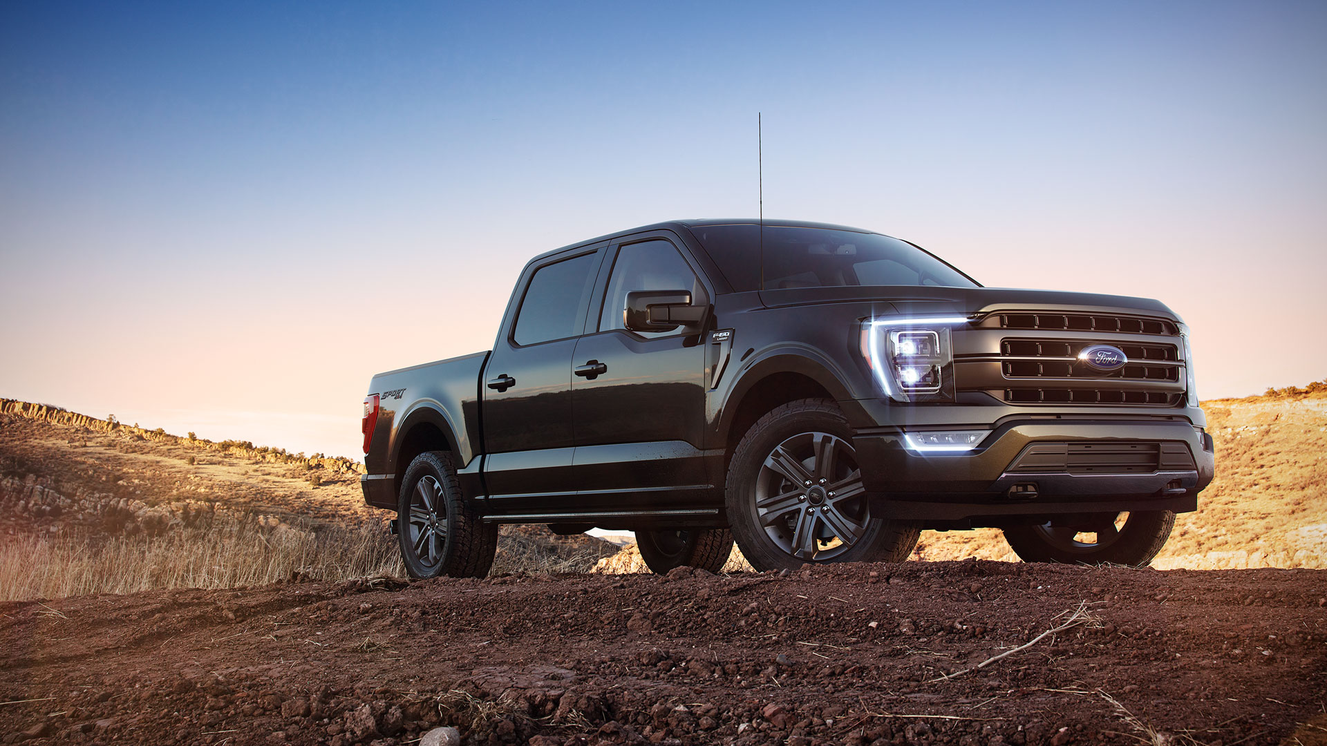 Der Ford F-150®
